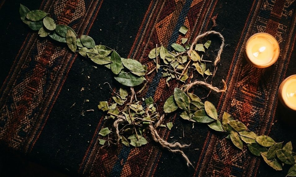 Hojas de coca mostrando caminos entrecortados en el manto — señal de bloqueo laboral o mala suerte en el trabajo