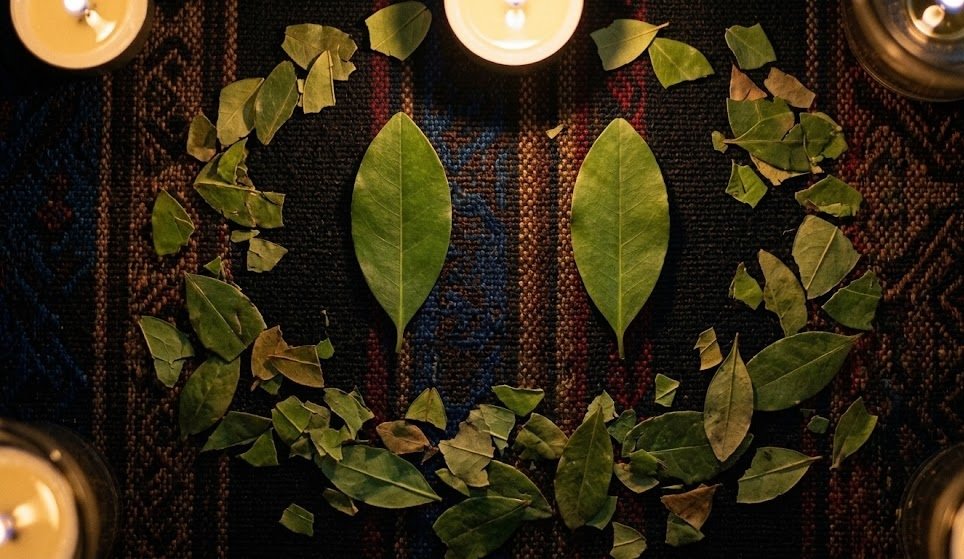 Lectura de hojas de coca sobre pareja e infidelidad en manto andino